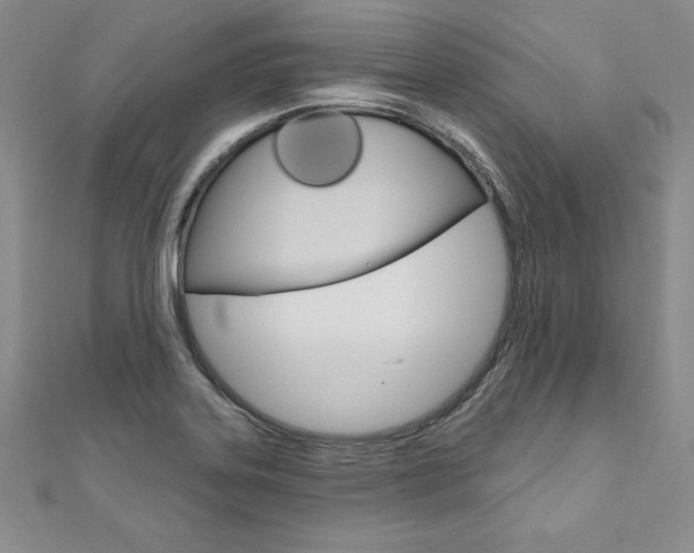 X0000112021323200908031034