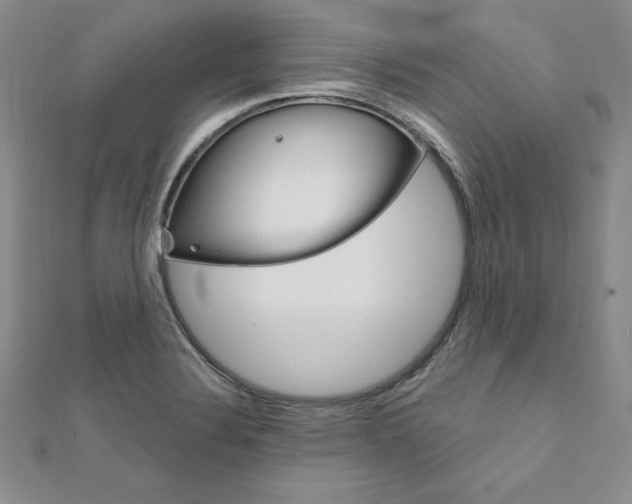 X0000112021324200908031034
