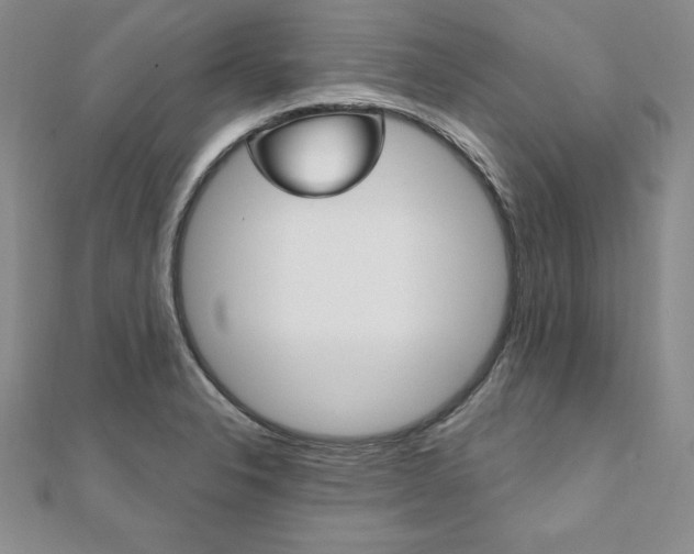 X0000112021326200908031034