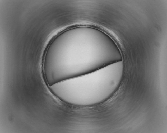 X0000112021327200908031034