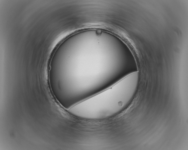 X0000112021328200908031034