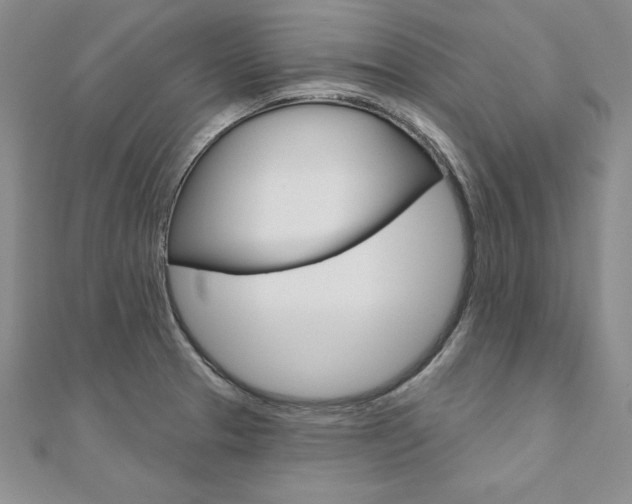 X0000112021329200908031034