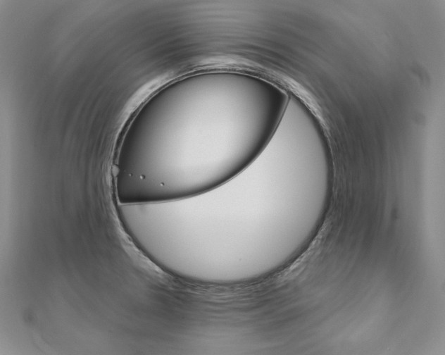 X0000112021330200908031034