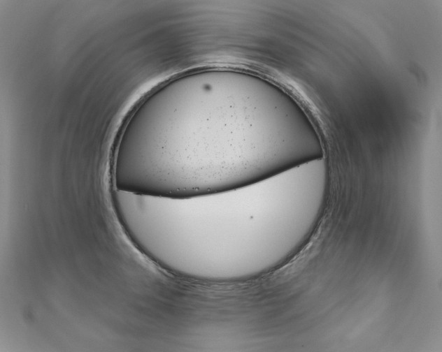 X0000112021331200908031034