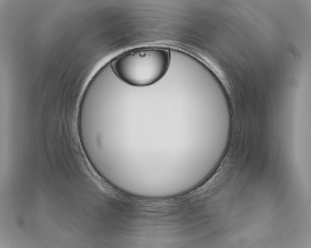 X0000112021332200908031034