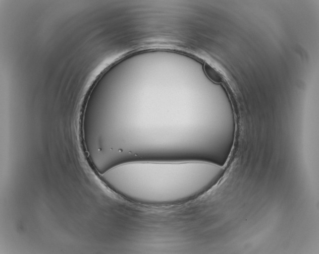 X0000112021333200908031034