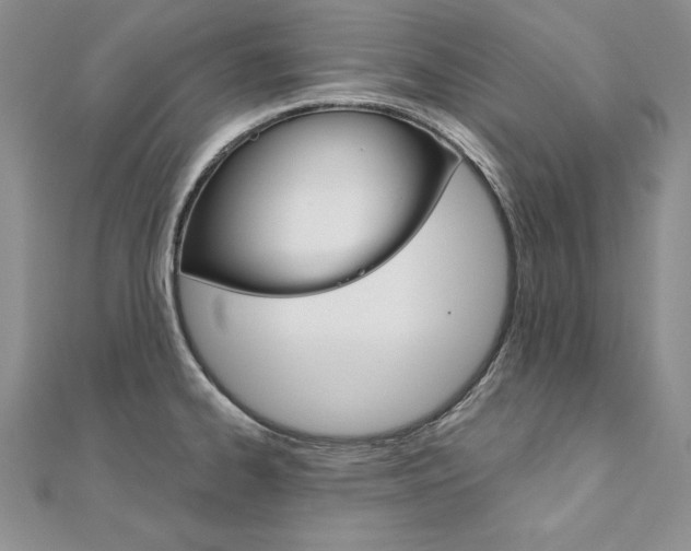 X0000112021334200908031034