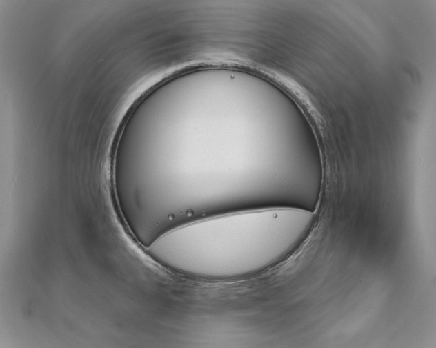 X0000112021335200908031034