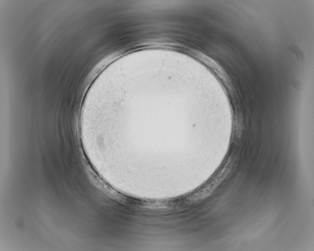 X0000112021338200908031034
