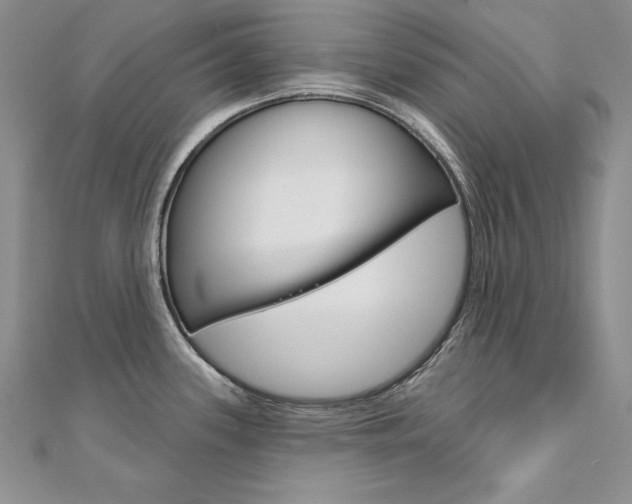 X0000112021339200908031034