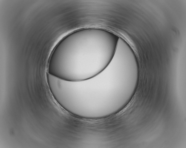 X0000112021340200908031034