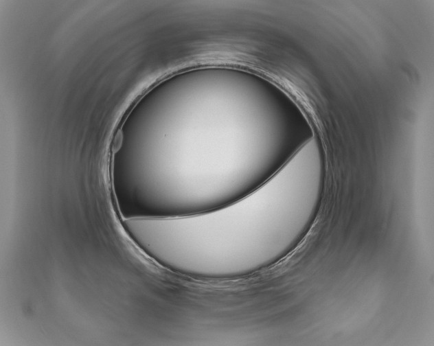 X0000112021342200908031034