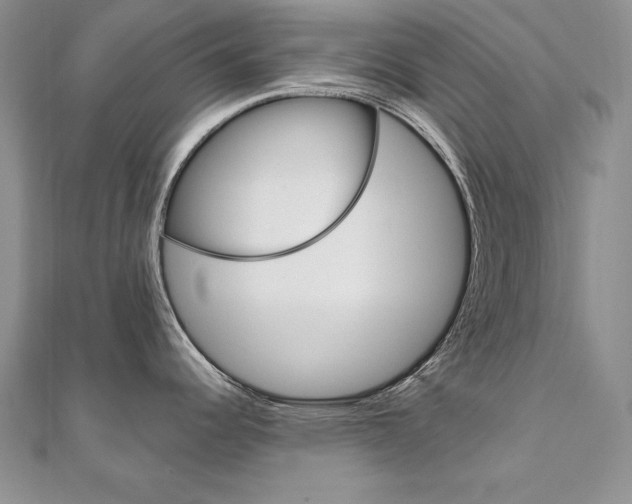 X0000112021344200908031034