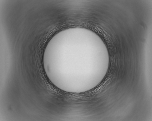 X0000112021345200908031033