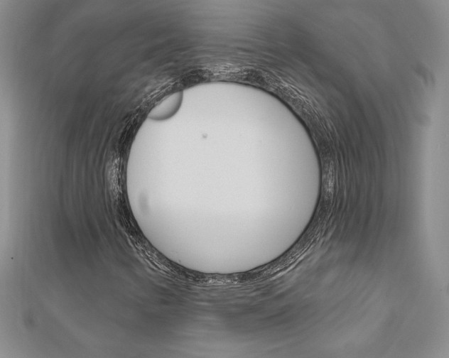 X0000112021346200908031033