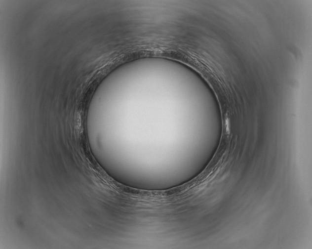 X0000112021347200908031033
