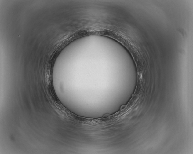X0000112021348200908031033