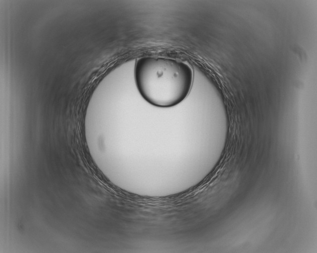X0000112021349200908031033