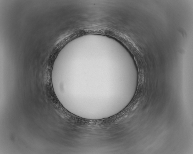 X0000112021350200908031033