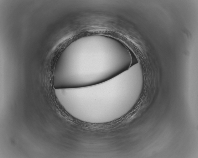 X0000112021351200908031033