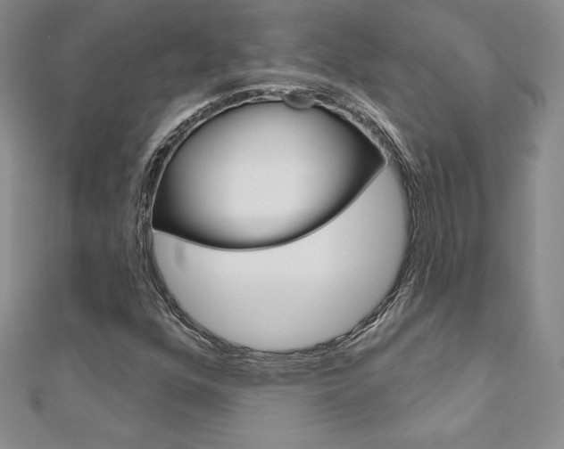 X0000112021352200908031033
