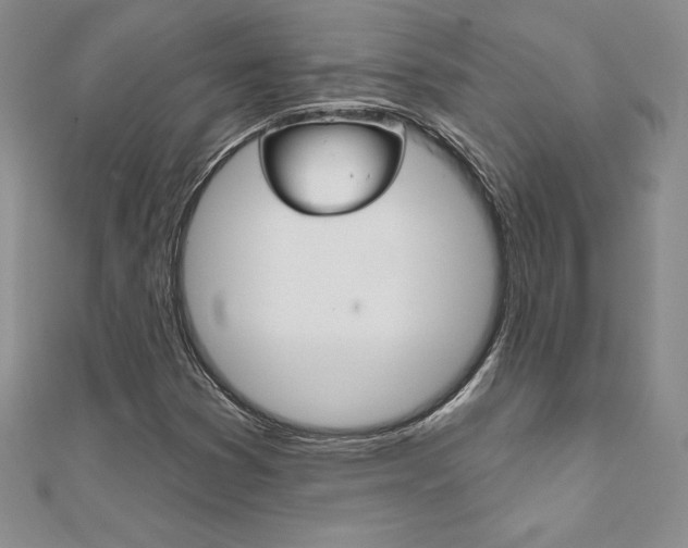X0000112021353200908031033
