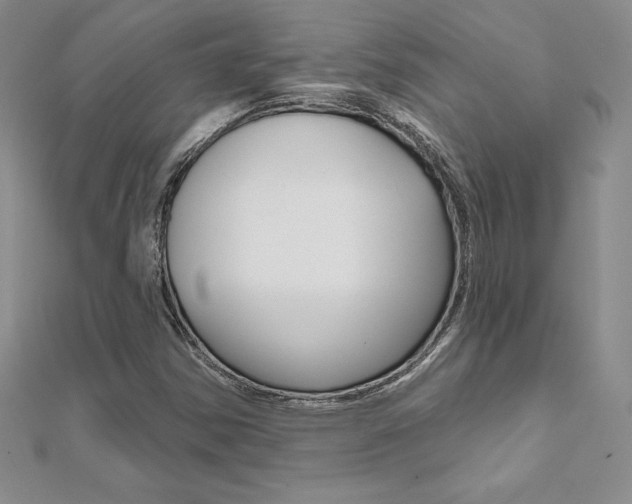 X0000112021354200908031033