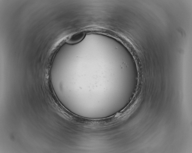 X0000112021355200908031033
