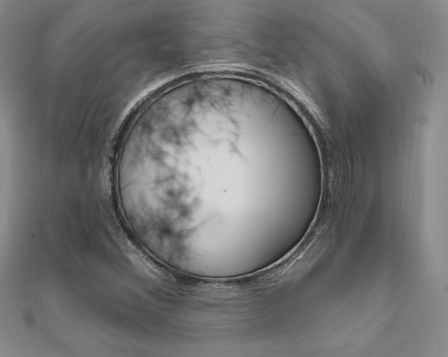 X0000112021356200908031033