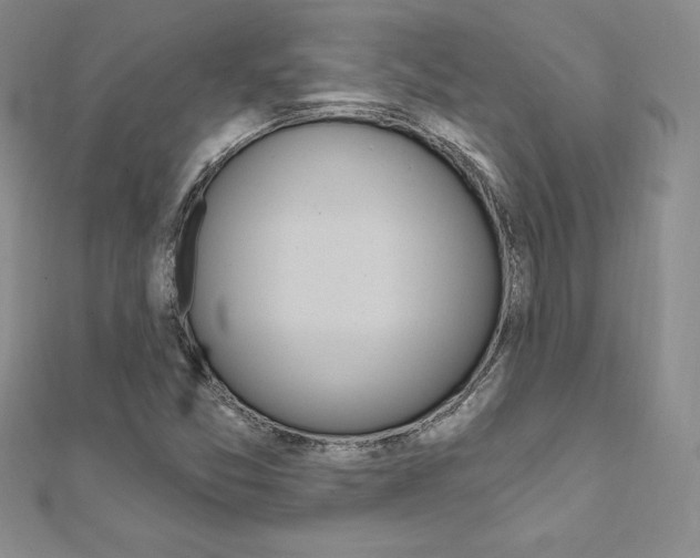 X0000112021357200908031033
