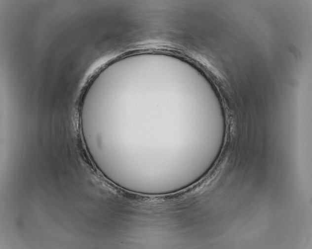 X0000112021358200908031033