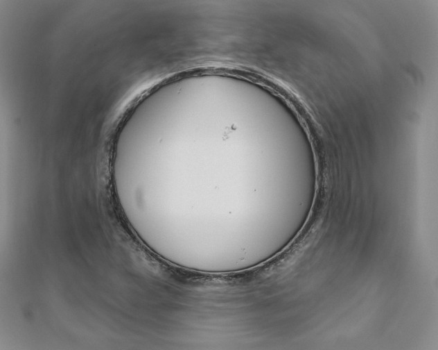 X0000112021359200908031033