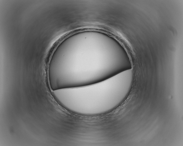 X0000112021360200908031033