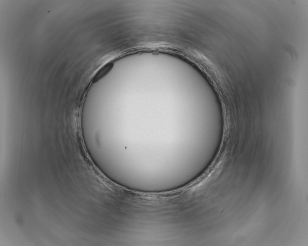 X0000112021361200908031033