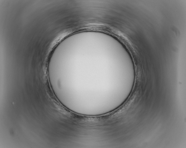 X0000112021362200908031033