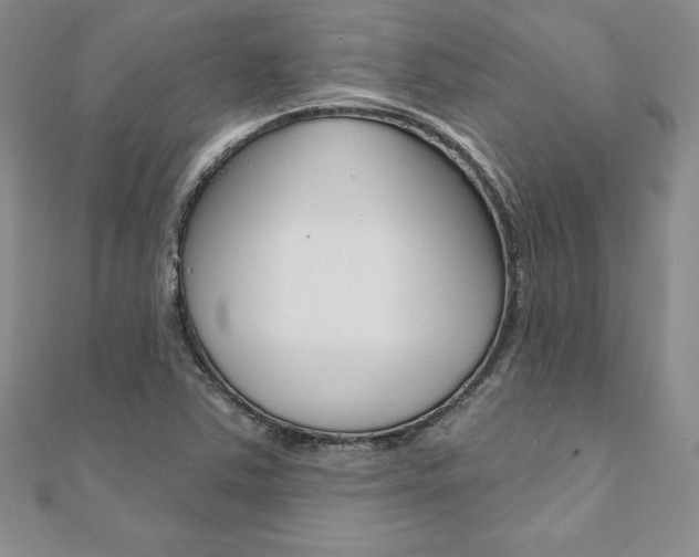 X0000112021363200908031033