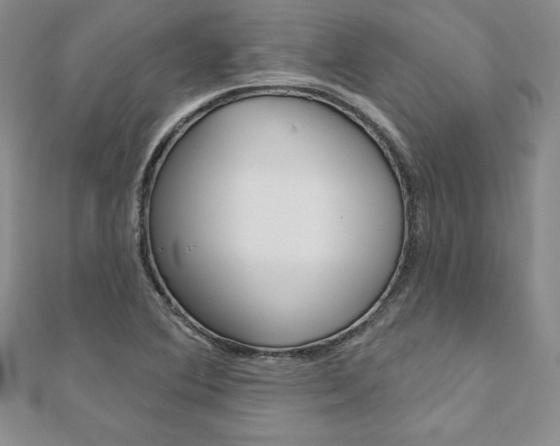 X0000112021364200908031033