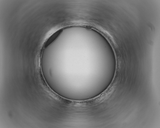 X0000112021365200908031033