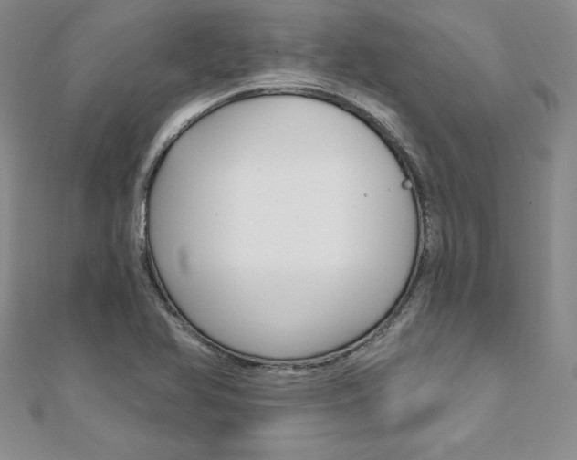X0000112021366200908031033