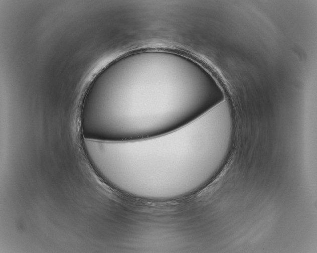 X0000112021367200908031033