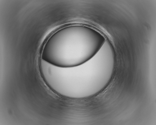 X0000112021368200908031033