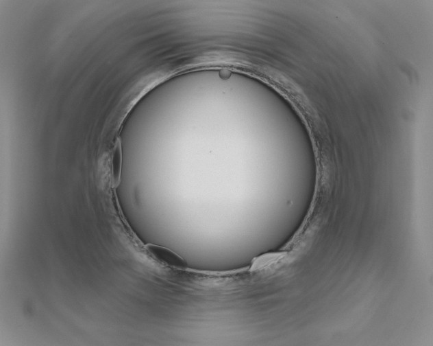 X0000112021369200908031033