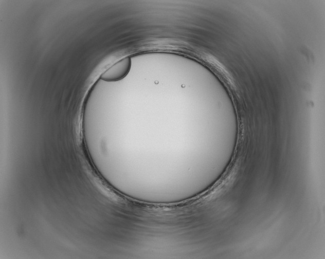 X0000112021370200908031033