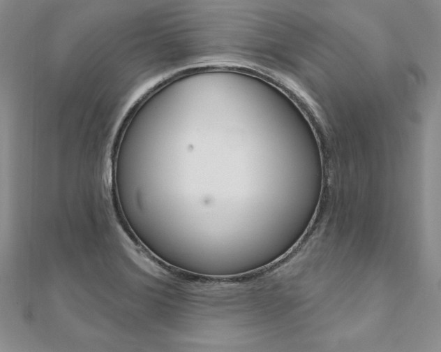 X0000112021372200908031033