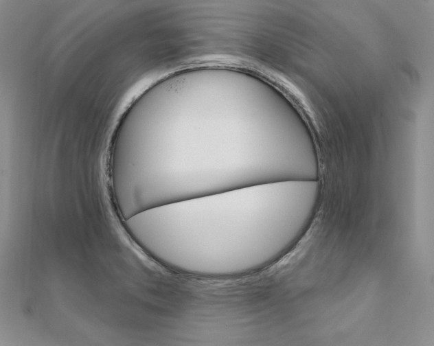 X0000112021373200908031033