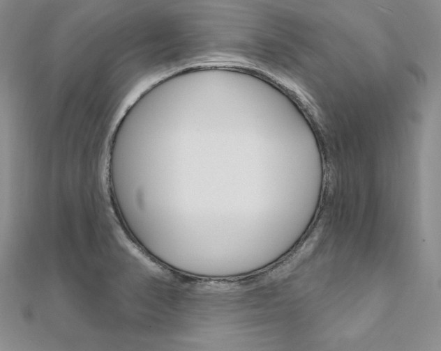 X0000112021374200908031033