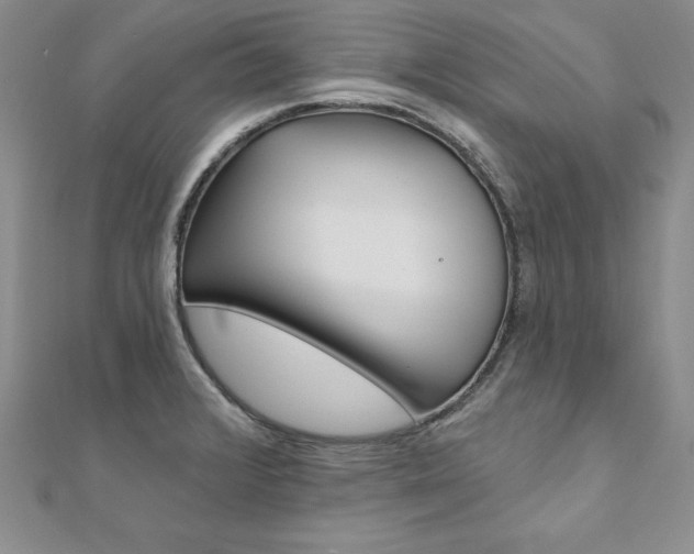 X0000112021376200908031033