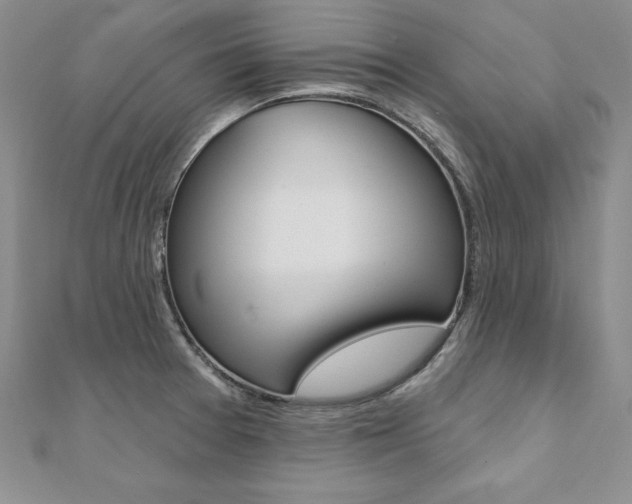 X0000112021377200908031033