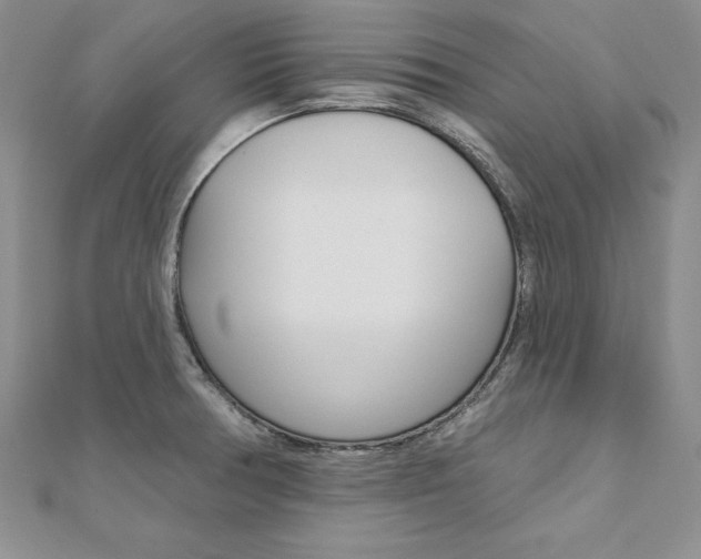 X0000112021378200908031033