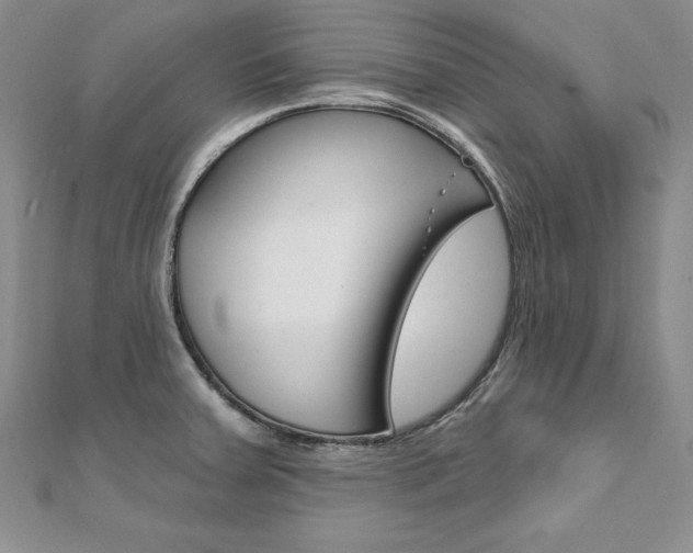 X0000112021379200908031033
